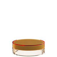 Sai 30