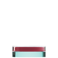 Sai 40