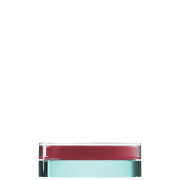Sai 40 S