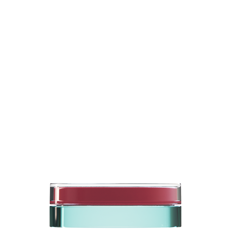 Sai 40 interchangeable cosmetic holder, rose cap with an aqua body, front view