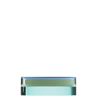 Sai 46