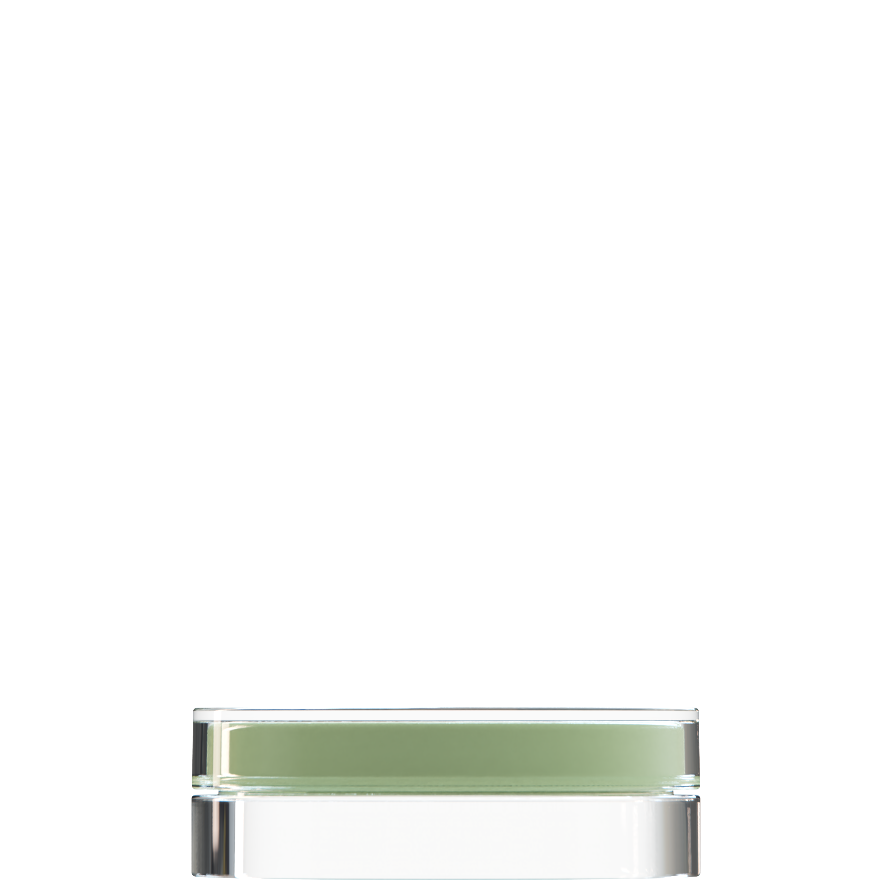 Sai 48