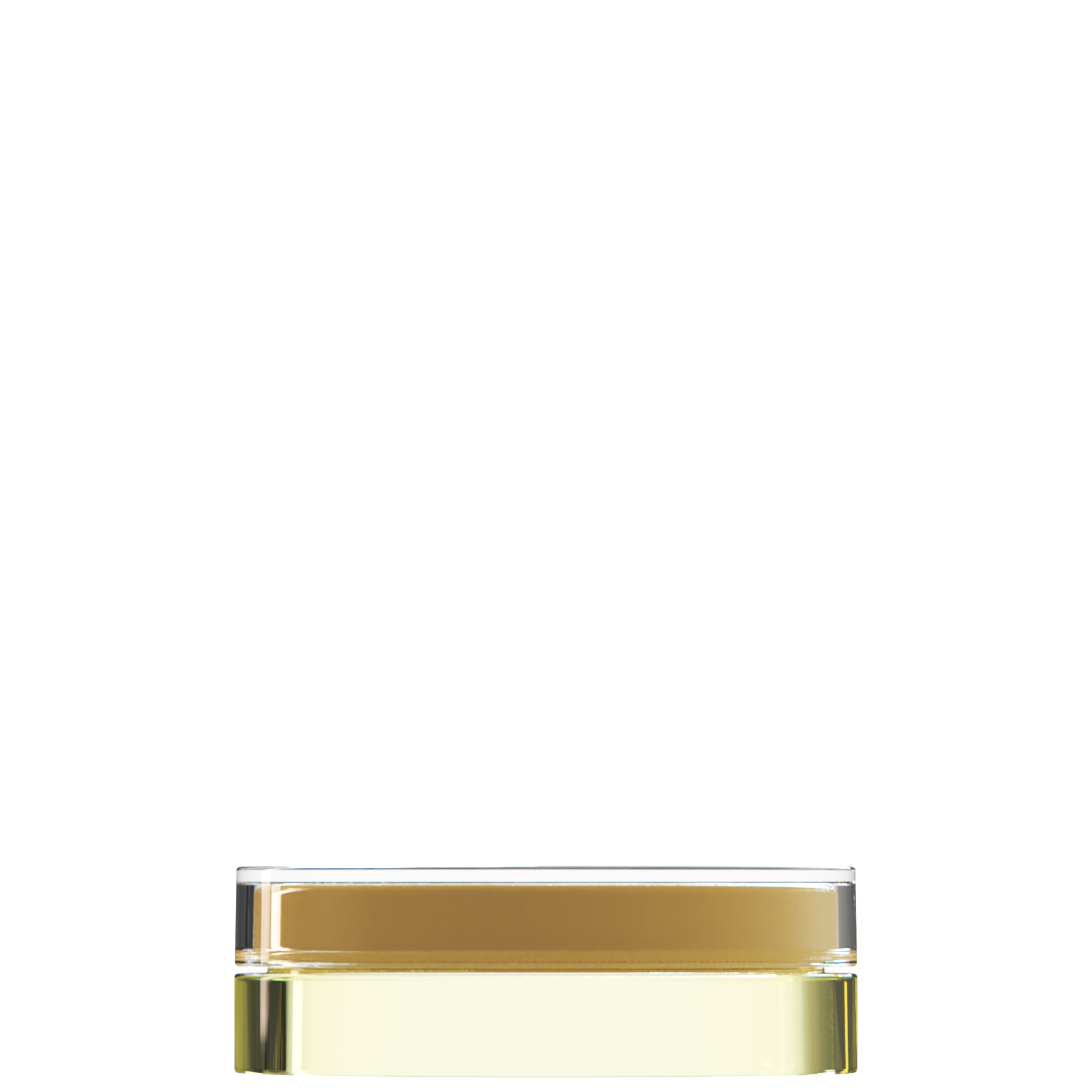 Sai 55