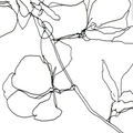 intrinsic no.19