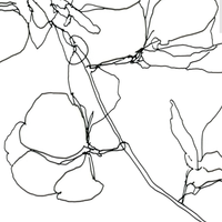 intrinsic no.19