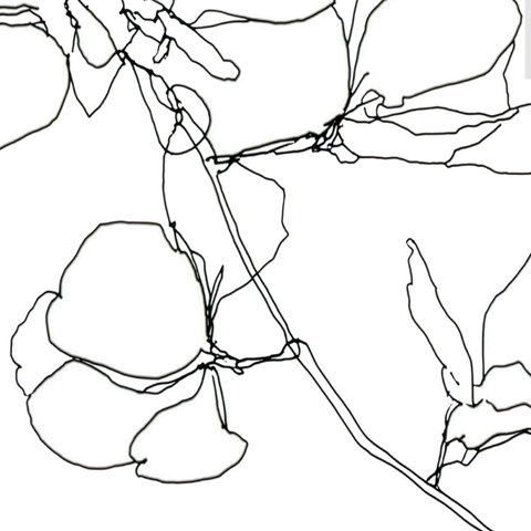 intrinsic no.19