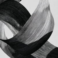 intrinsic no.2