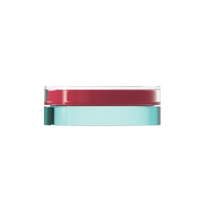 Sai 40 interchangeable cosmetic holder, rose cap with an aqua body, front view