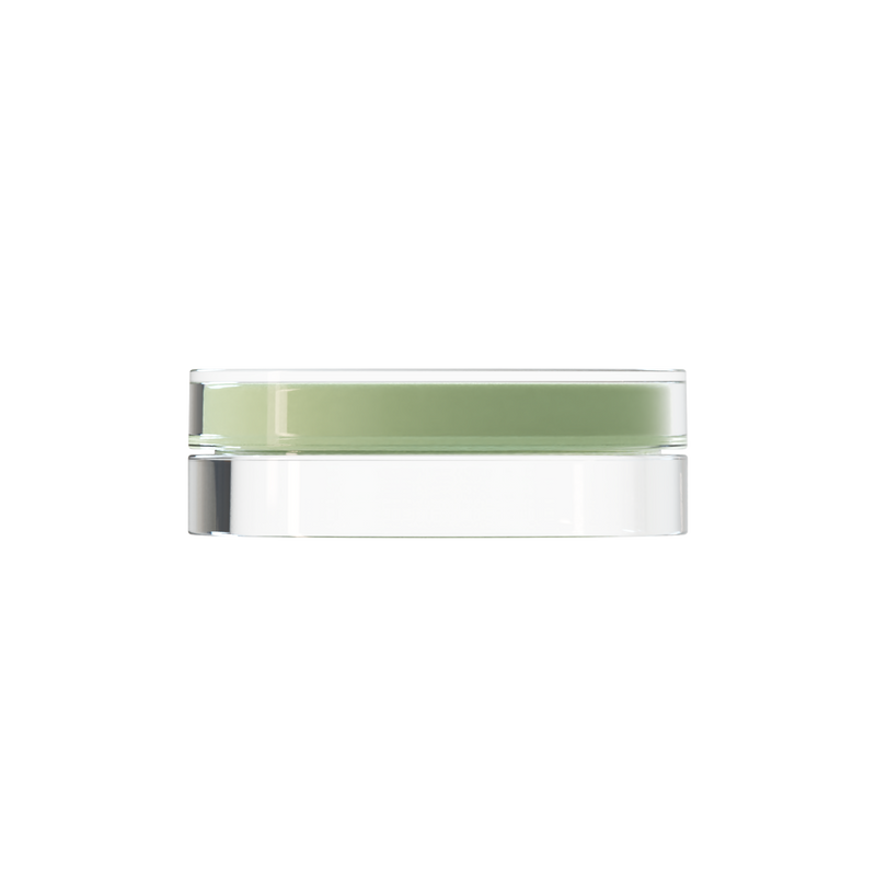 Sai 48 interchangeable cosmetic holder, pale green cap with a clear body, front view